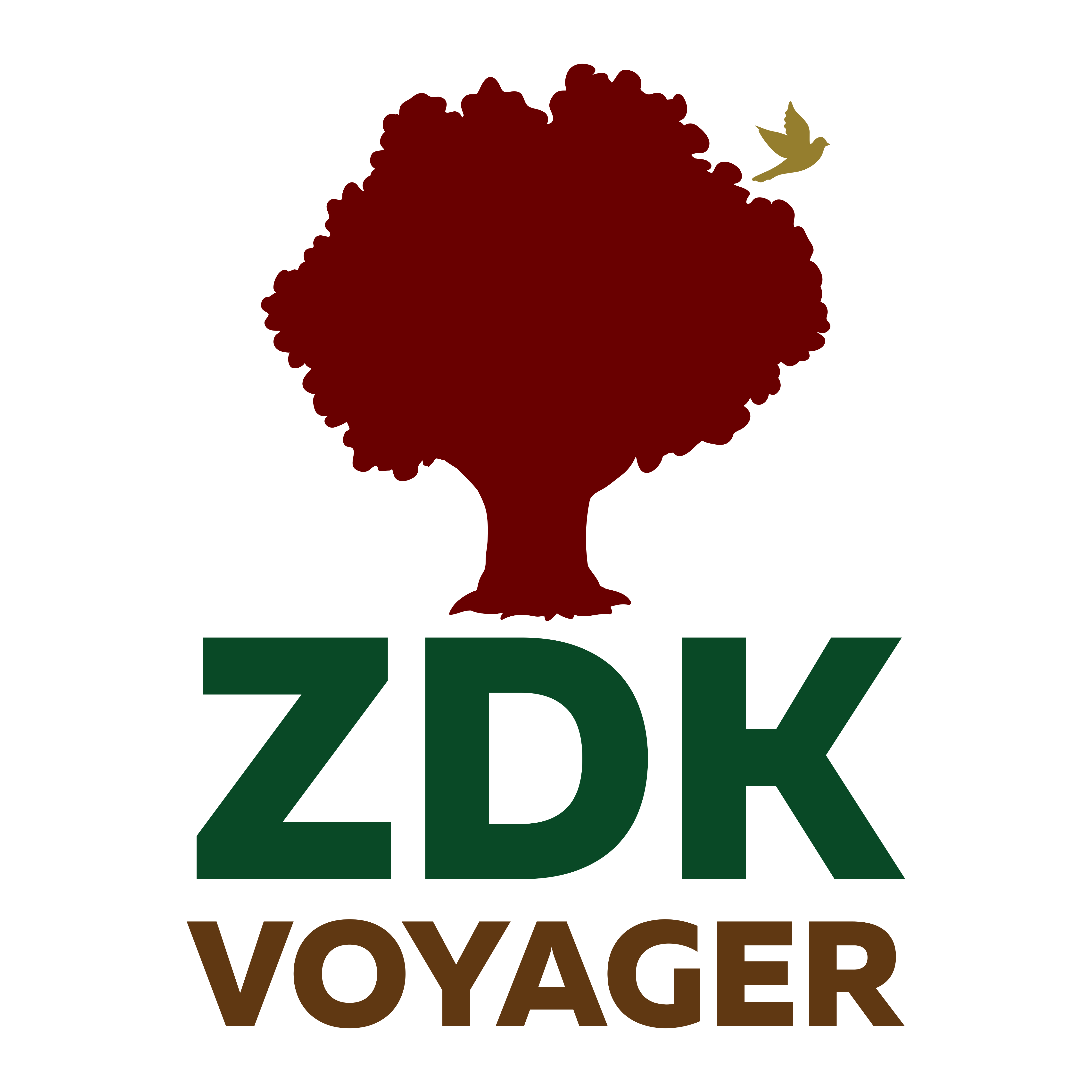 ZDK Voyager